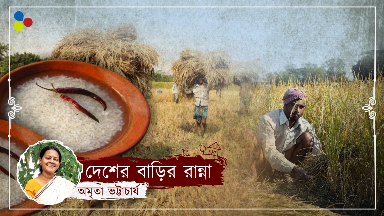 ধান কাটতে কাটতেই ভাত খাওয়া ফজল আলিদের