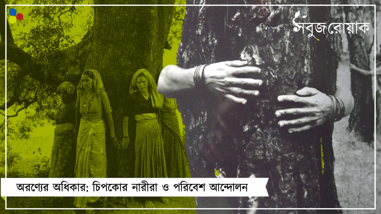 চিপকো আন্দোলনের নারীরা আজও পরিবেশ আন্দোলনের মুখ
