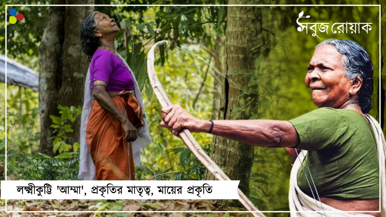 ছেলে নিহত হাতির হানায়, সাপের সঙ্গে বাস! 'জঙ্গলের মা' কেমন আছেন?