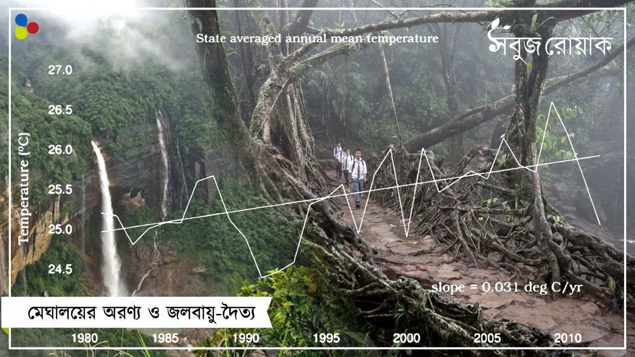 শেষের পথে মেঘালয়ের সবুজ