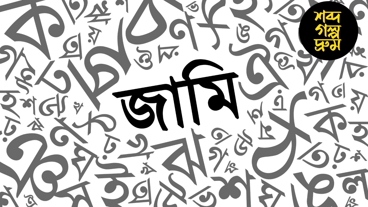 'জামি' শব্দটি কি অশ্লীল? জানেন এই হারিয়ে যাওয়া শব্দের অর্থ