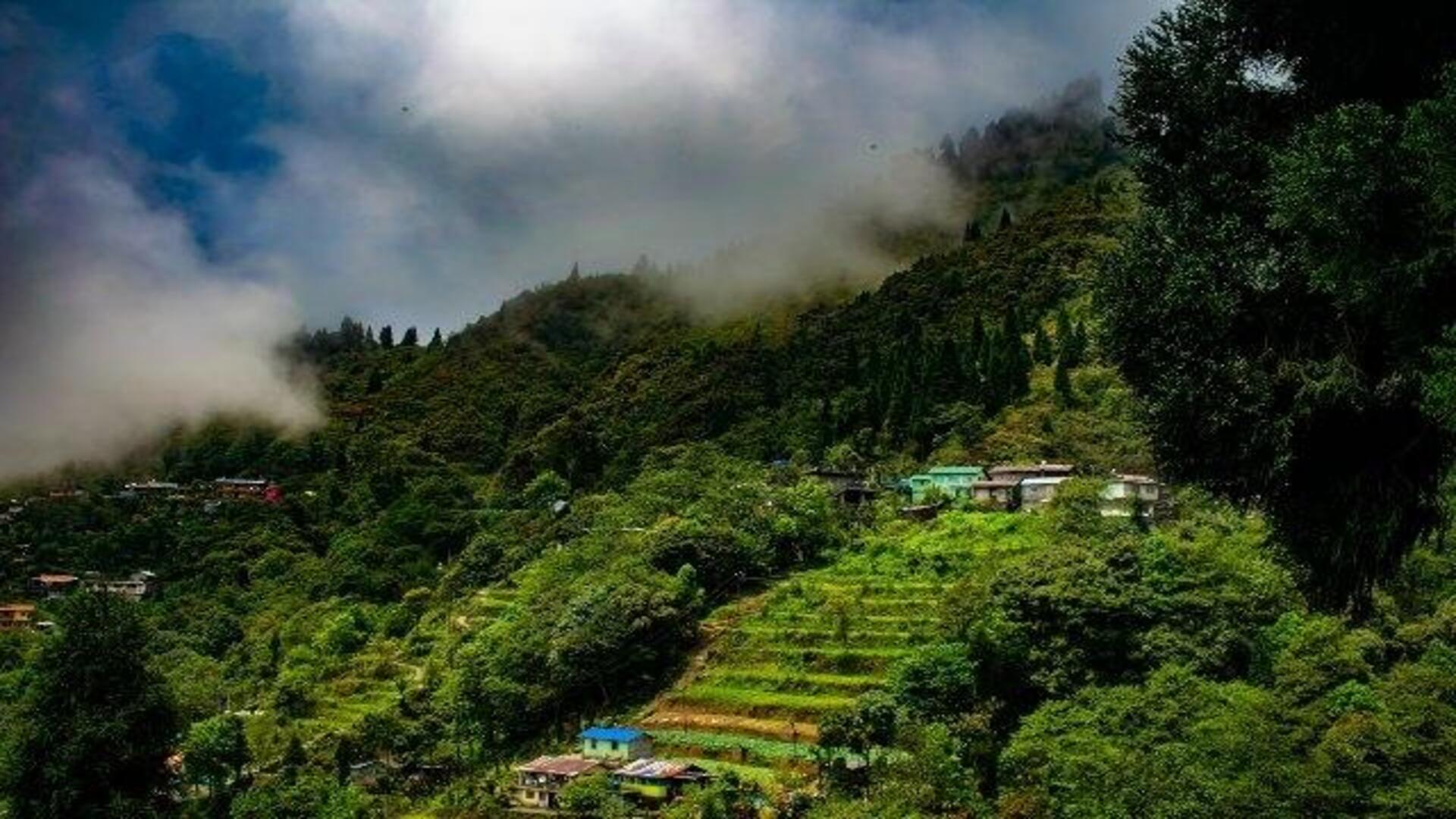 দার্জিলিং নয়, চা-বাগানে ঘেরা এই পাহাড়ি গ্রাম থেকেই দেখা যাবে কাঞ্চনজঙ্ঘার শ্রেষ্ঠ রূপ
