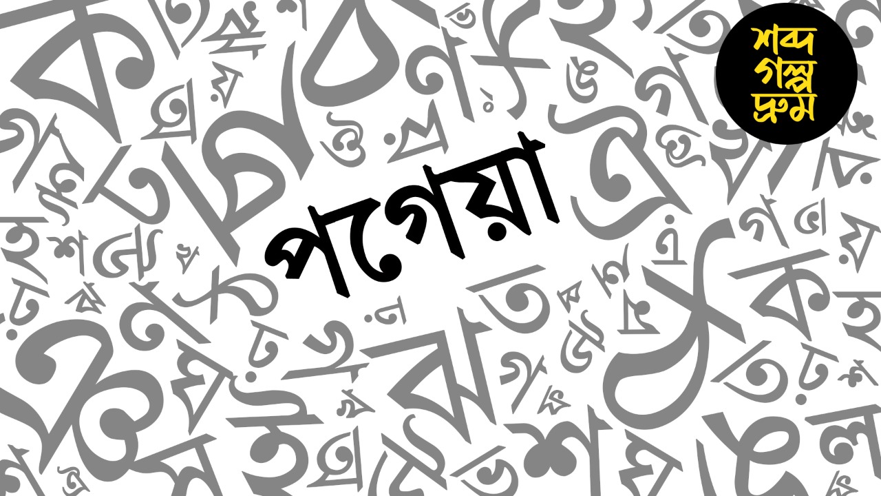 পগেয়া শব্দটি আসলে গালাগালি না প্রশংসা? বাংলা ভাষার আজব কেরামতি