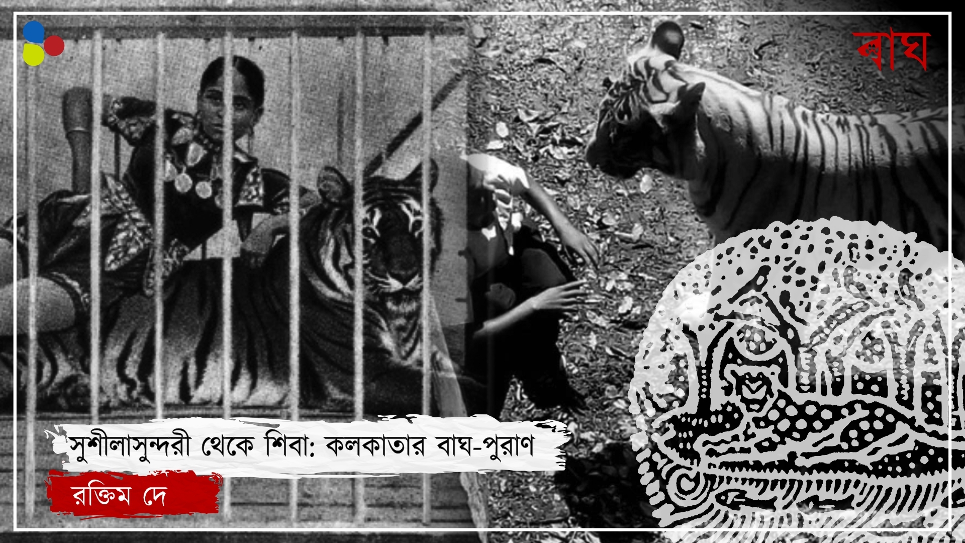 চৌরঙ্গিতে শোনা যেত গর্জন! কলকাতাতেও মানুষ কাঁপত বাঘের ভয়ে