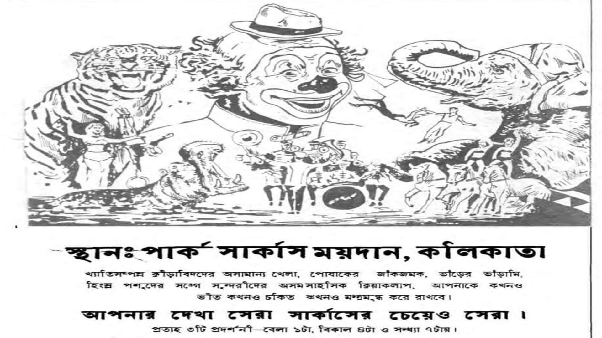 সিংহের শিকার হয়ে উঠতে পারত তরুণী, কলকাতার সার্কাসের সেইসব দিন আজও রোমাঞ্চকর