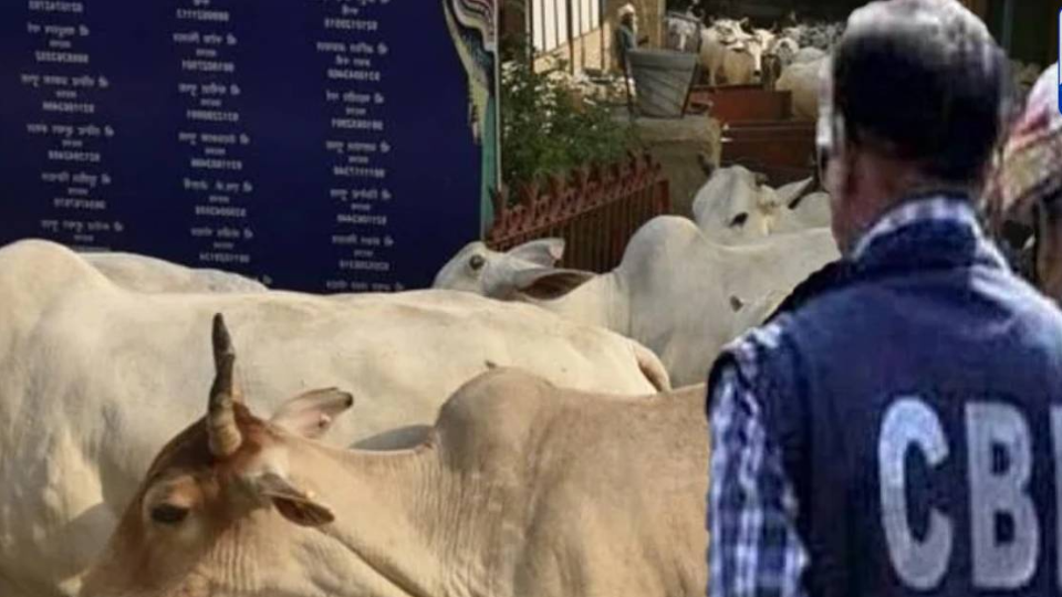 অনুব্রত মন্ডলের বেনামি সম্পত্তির আড়ালে আসলে তিনি, কে এই আবদুল লতিফ?