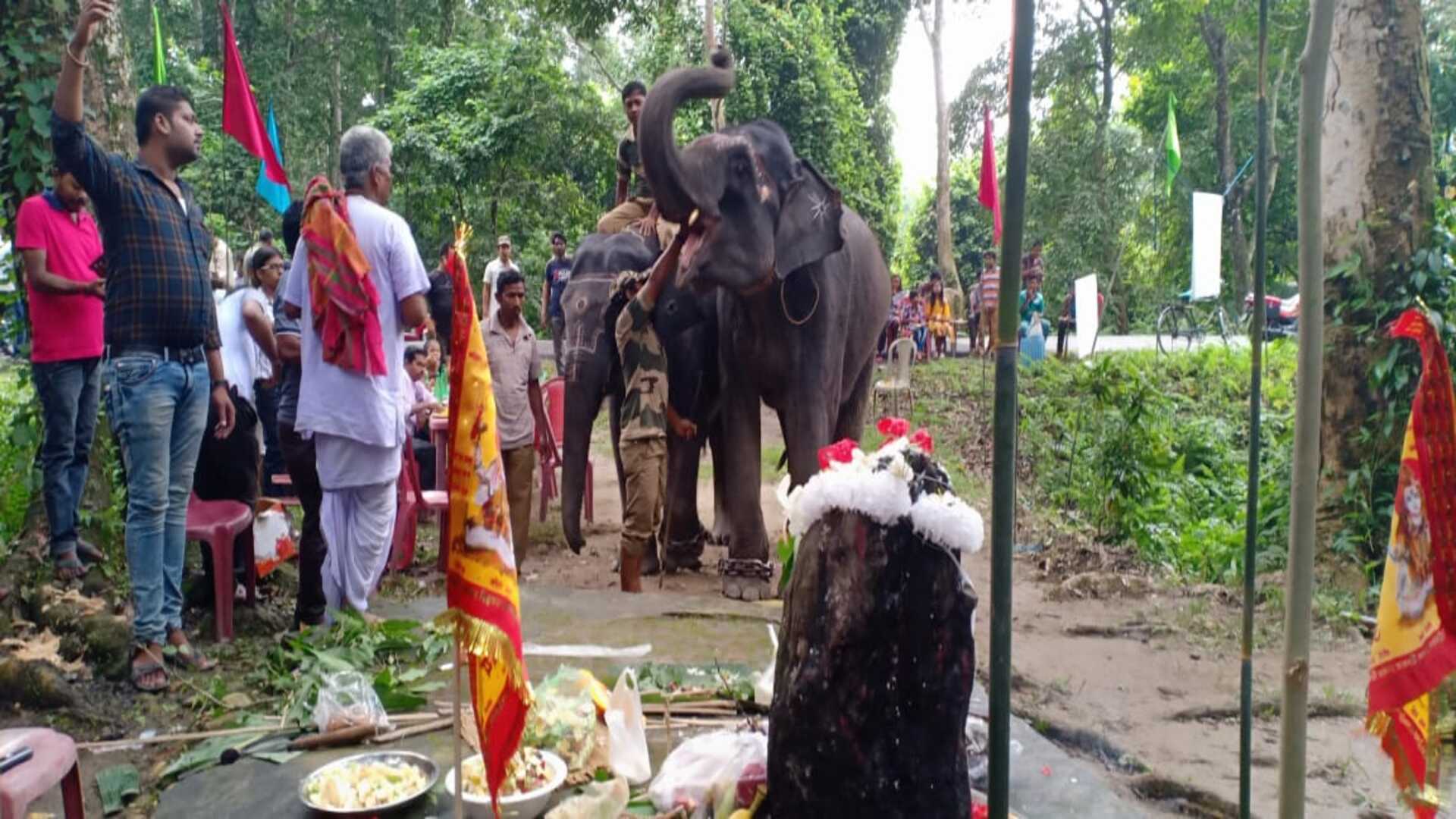 ঘটা করে হাতি পুজো! এই অভিনব লোকাচার দিয়েই শুরু হয় ডুয়ার্সের পর্যটন