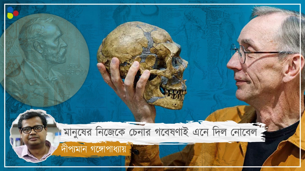 সম্পূর্ণ নতুন মানুষ প্রজাতির সন্ধান এনে দিল নোবেল! যে রহস্যর সমাধান করল বিজ্ঞান