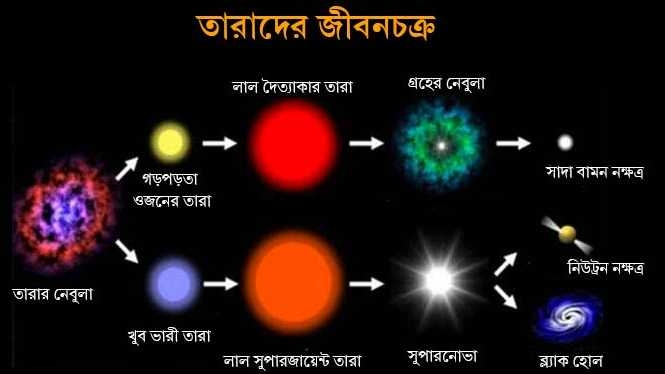 রহস্যময় মৃত নক্ষত্রদের থেকেই তৈরি মানুষ! কীভাবে মৃত্যু হয় তারাদের?