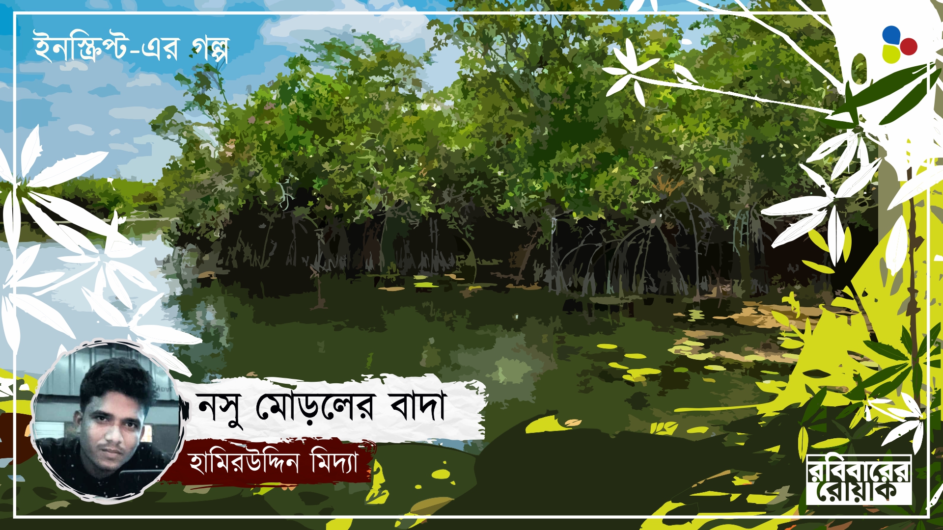 নসু মোড়লের বাদা: হামিরউদ্দিন মিদ্যা
