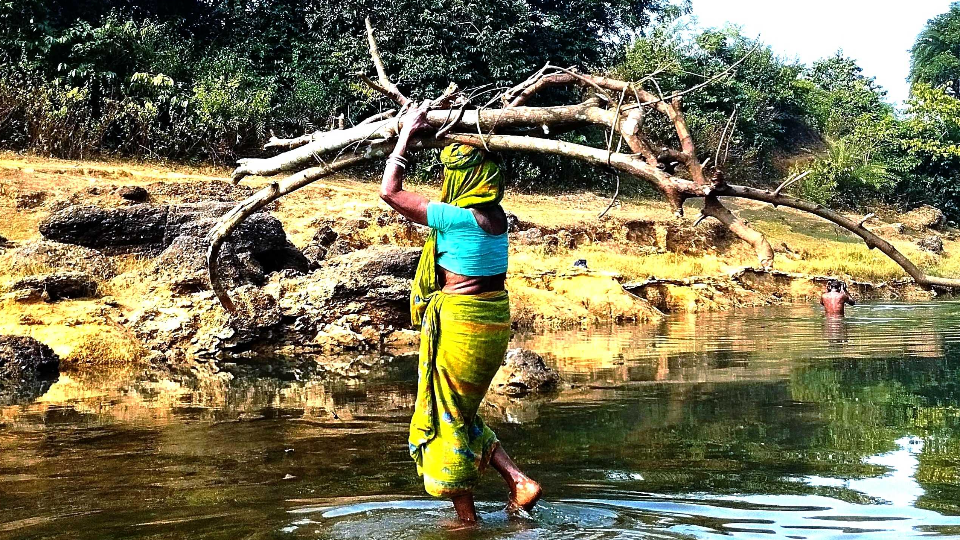 হাতে দু'দিনের ছুটি? জল-জঙ্গল-পাহাড় একসঙ্গে পেতে আসতেই হবে যে ঠিকানায়