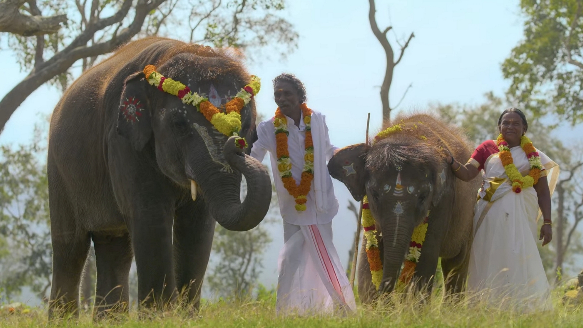 দ্য এলিফ্যান্ট হুইস্পারার্স : ভারতকে প্রথম অস্কার এনে দিল যে ৪১ মিনিটের কাহিনি!
