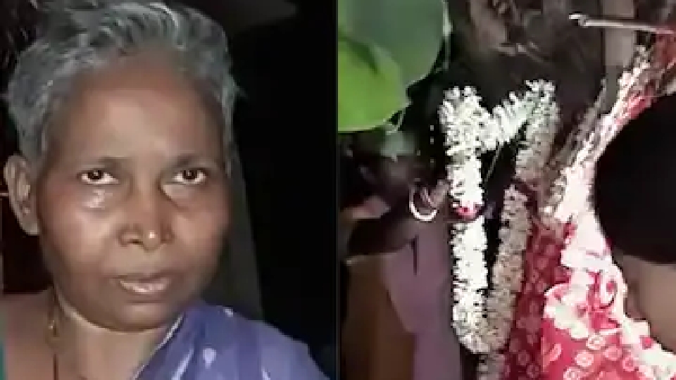 ধুতি-টোপর পরে তৈরি বট গাছ! যেভাবে ধুমধাম করে ‘একমাত্র ছেলে’র বিয়ে দিলেন বৃদ্ধা মা
