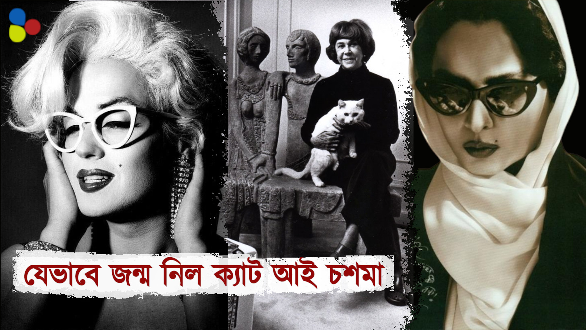 বিড়ালের চোখ হয়ে উঠল চশমা! যেভাবে জন্ম নিল ক্যাট আই গ্লাসেস