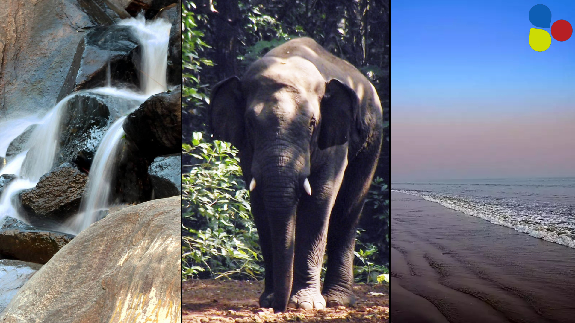 সস্তায় বিশ্বদর্শন! এক যাত্রাতেই মিটবে পাহাড়-জঙ্গল-সমুদ্রের স্বাদ