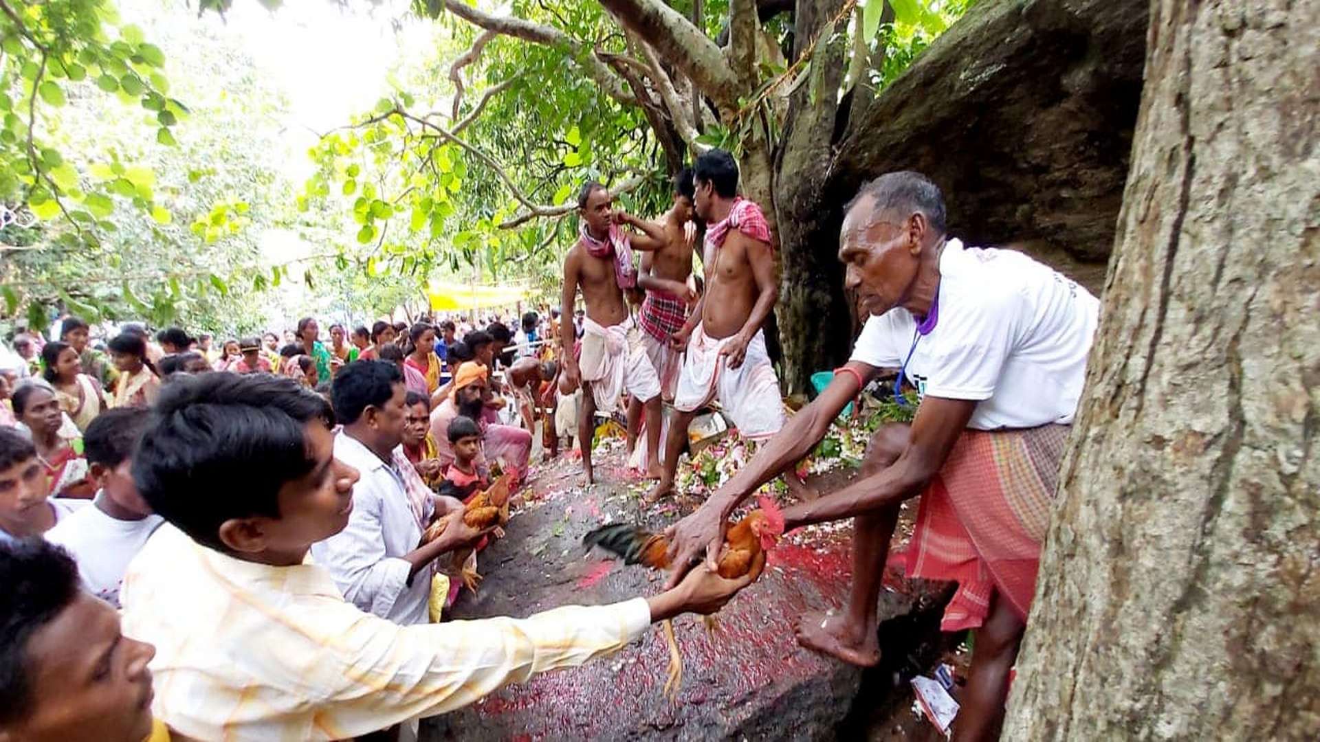 জংলা পাহাড়ে অধিষ্ঠিত দেবতা! অবাক করবে জঙ্গলমহলের বিখ্যাত পাহাড় পুজোর ইতিহাস