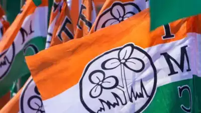 কেন অভয়া কাণ্ডের পরও তৃণমূল কংগ্রেস ধাক্কা খেল না?