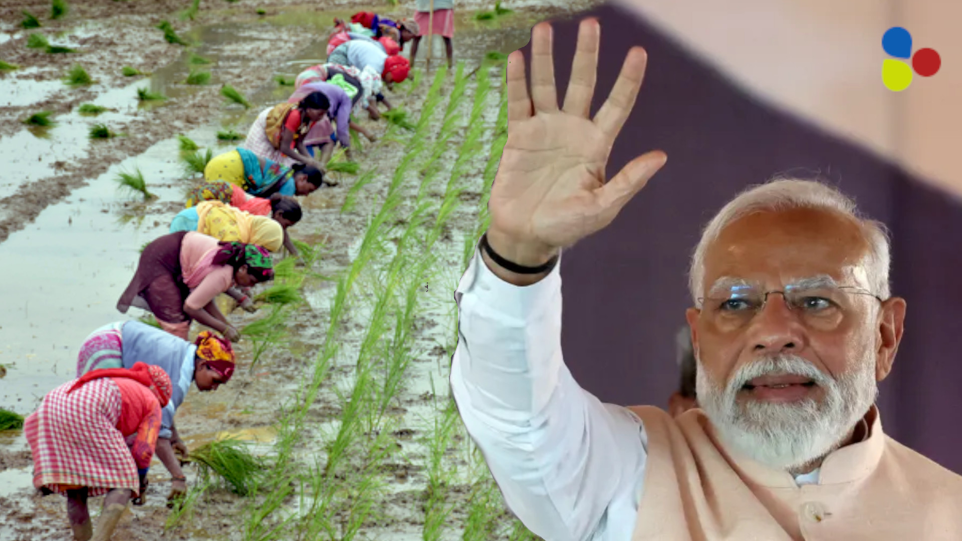 শুধুই তথ্যের মারপ্যাঁচ মোদি সরকারের! বাস্তবে কতখানি উপকৃত দেশের চাষিরা?