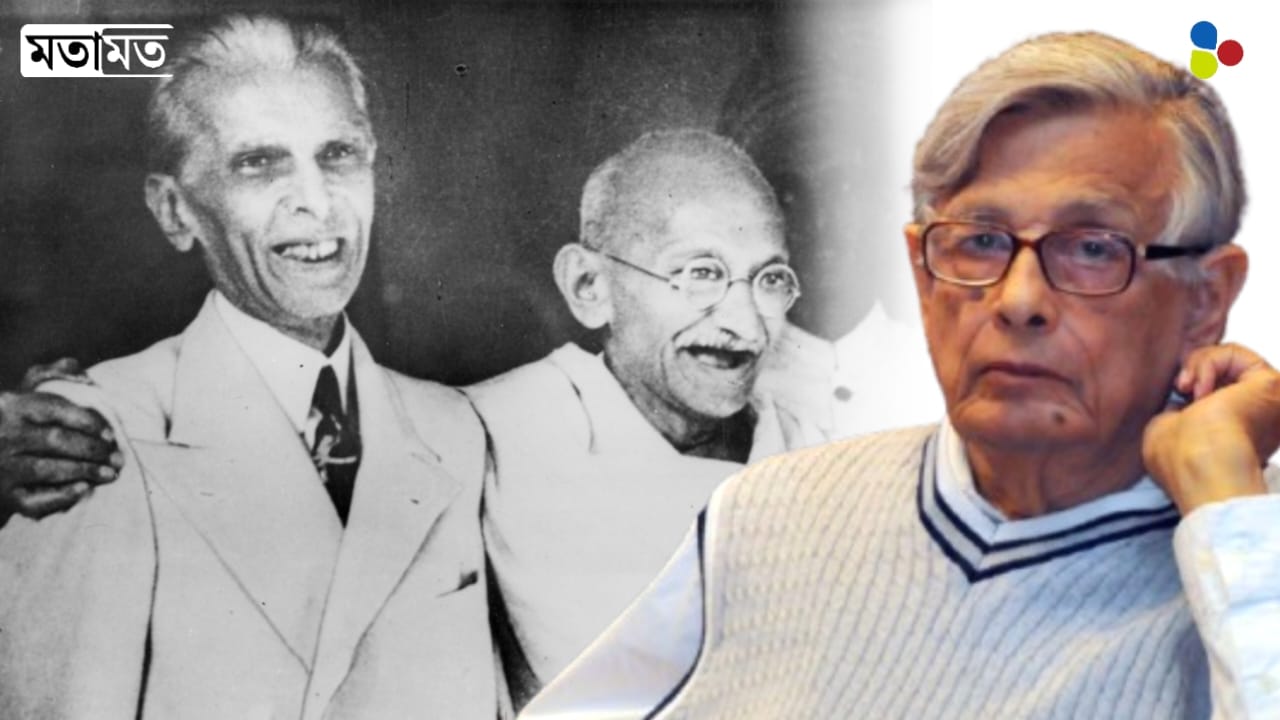 স্বাধীনতা সংগ্রামে কংগ্রেস ও মুসলিম লিগকে বামেদের একাসনে বসানো মস্ত ভুল: ইরফান হাবিব