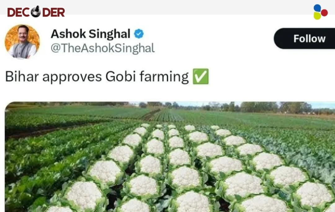 বিহার নির্বাচন: ফুলকপির টুইটে কোন অতীত মনে করালেন মন্ত্রী?
